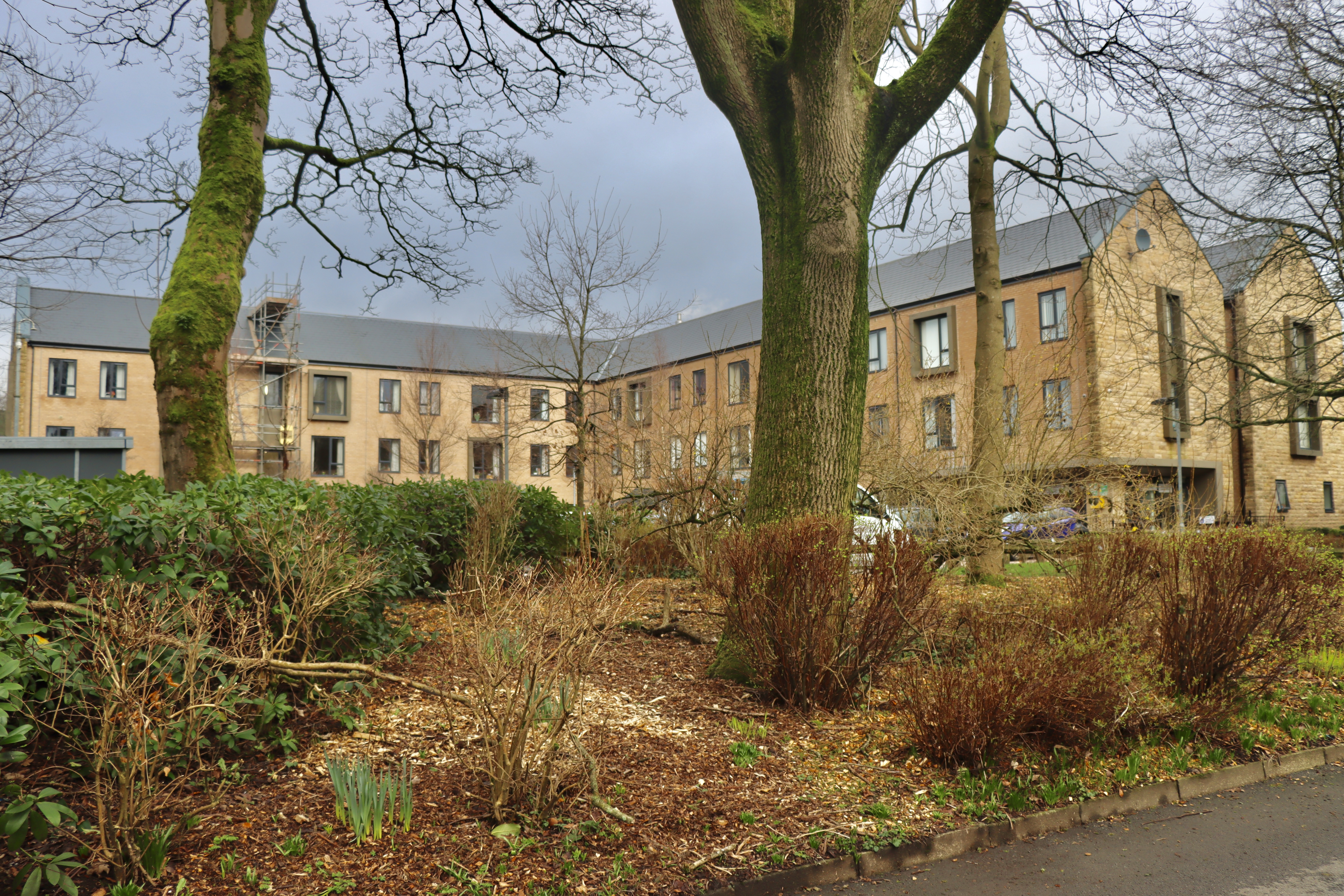 Littleborough February 2024 Colour Edit (6)