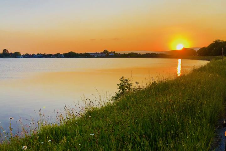 IMG E2443 IMG E2443