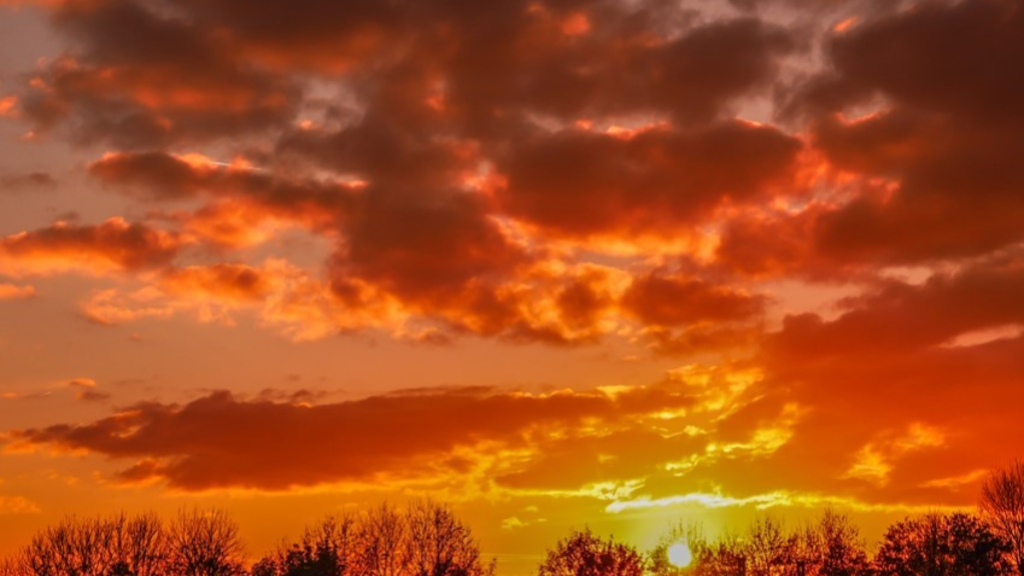 Photo by Ian Lord