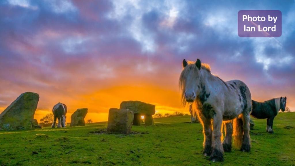 Photo by Ian Lord