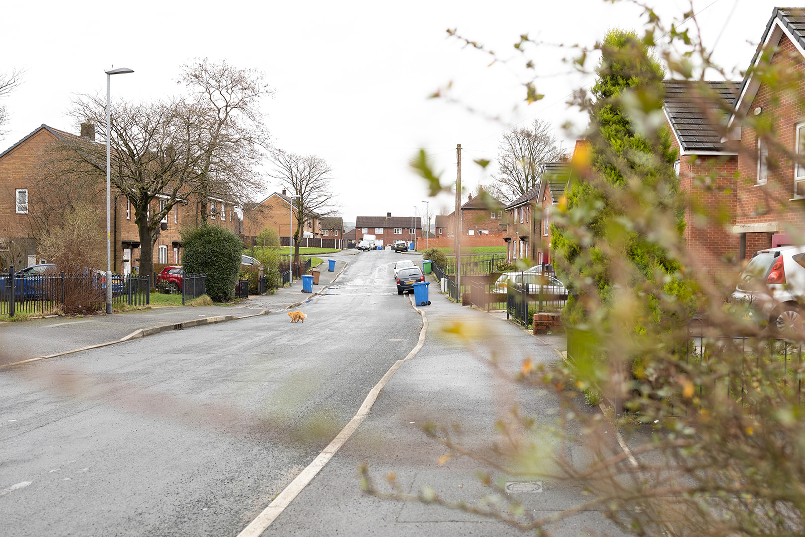 SAZMEDIA RBH 22FEB24 79