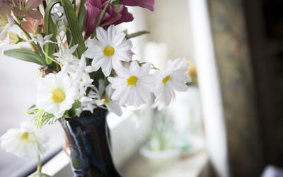 Flowers on window sill