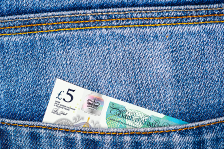 Fiver Back Pocket Fiver Back Pocket