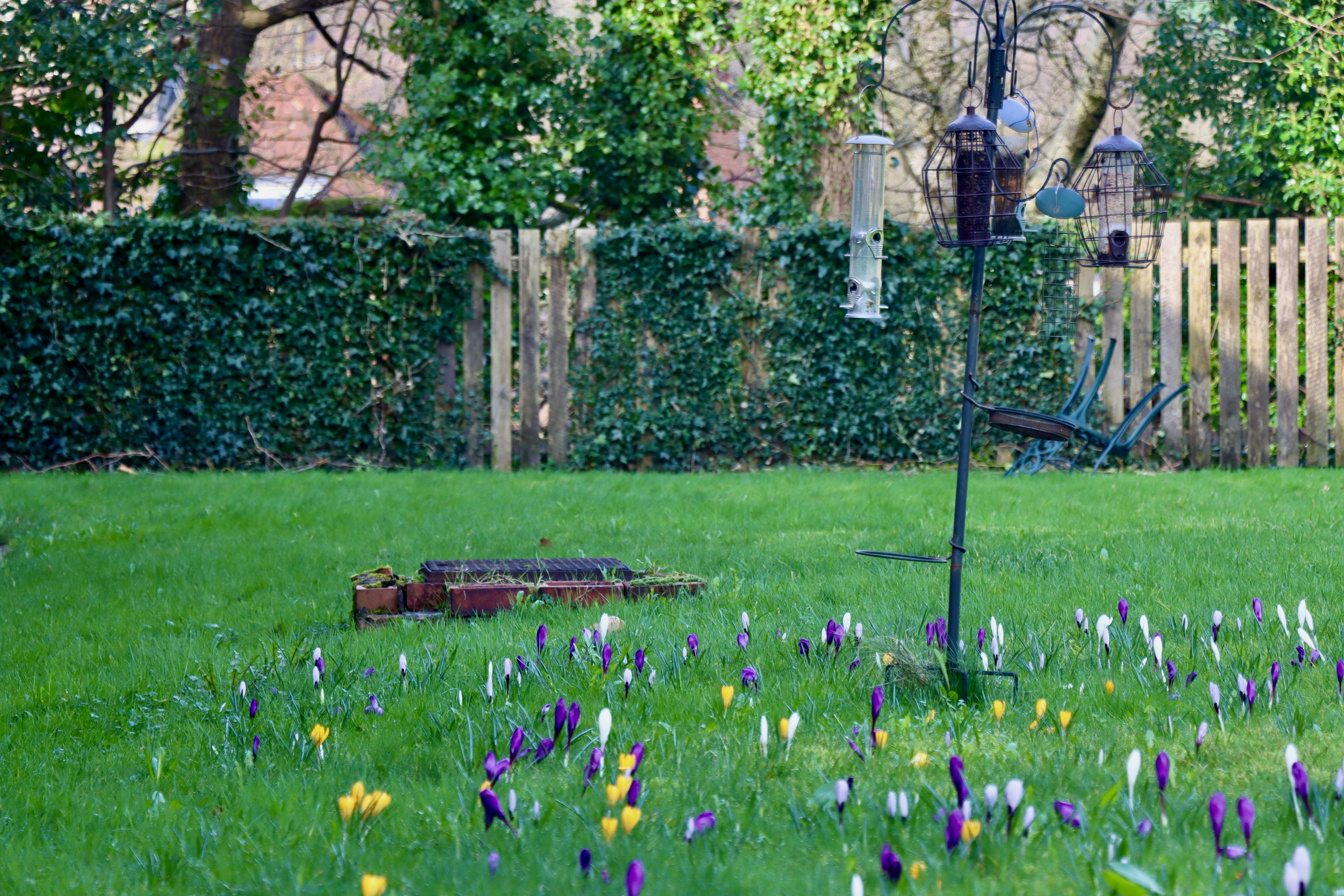 Littleborough February 2024 Colour Edit (27) (2)