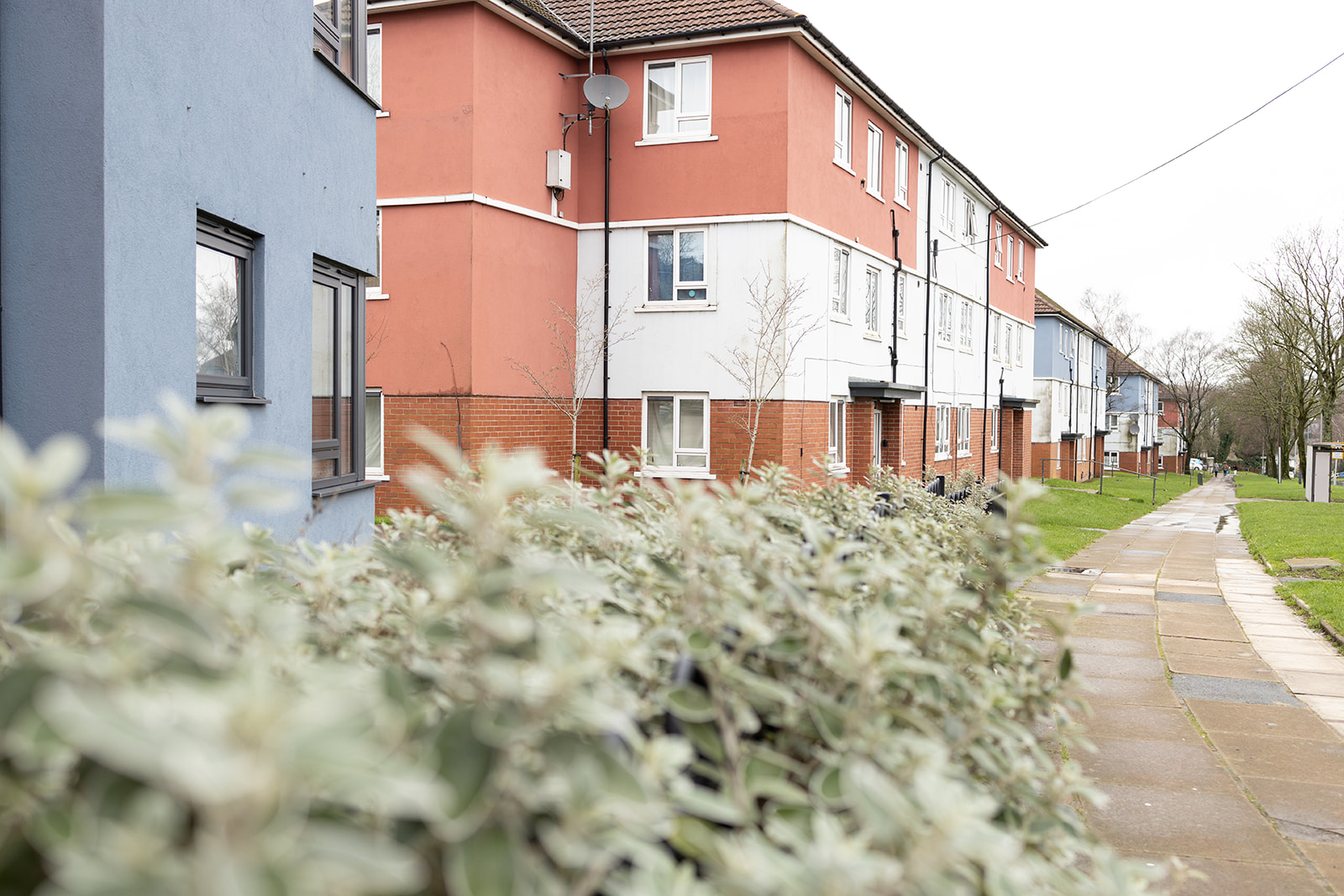 SAZMEDIA RBH 22FEB24 97