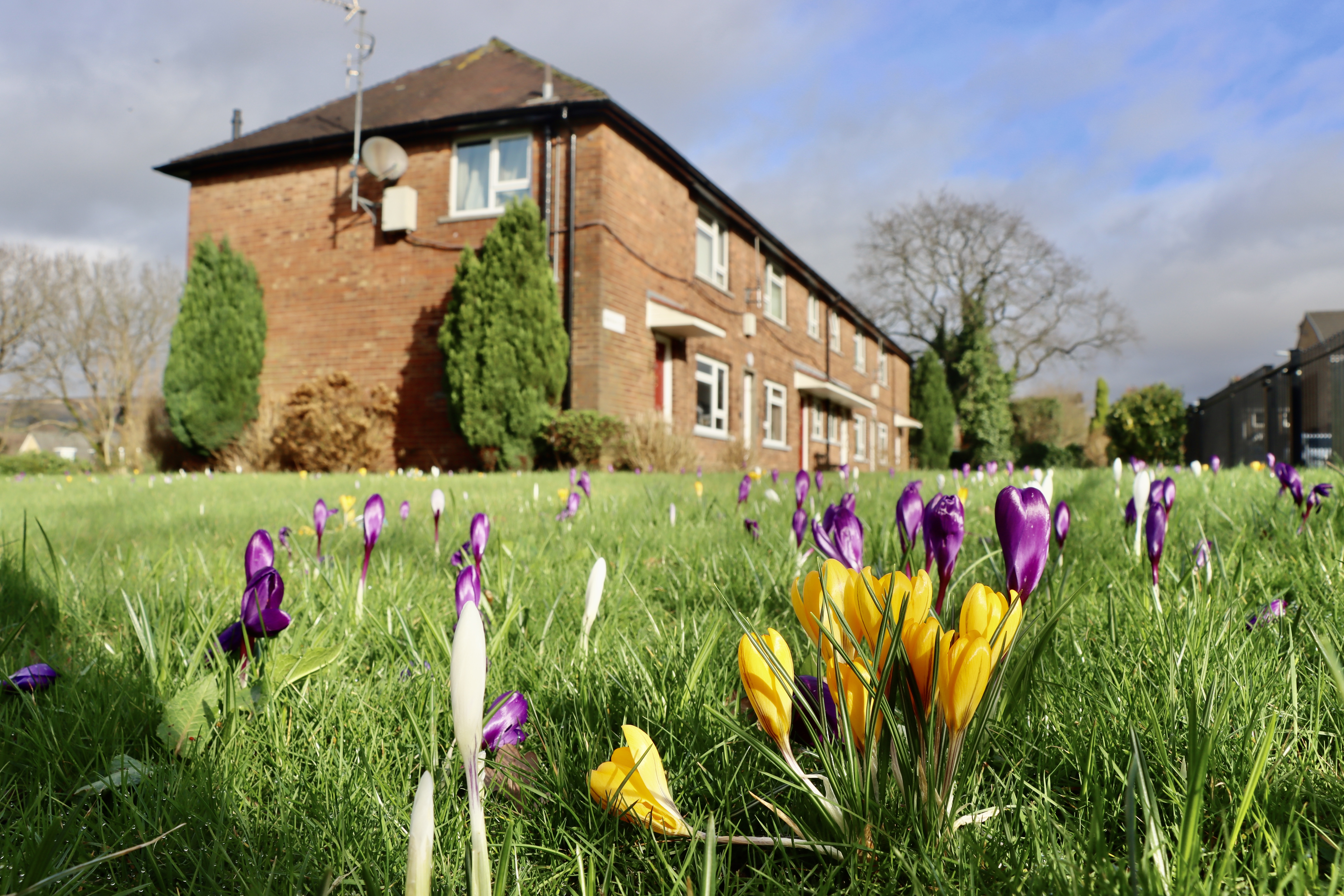 Littleborough February 2024 Colour Edit (28)