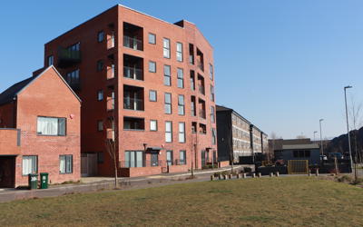 IMG 7110