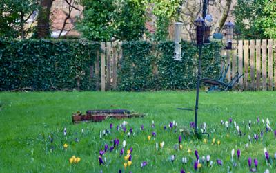 Littleborough February 2024 Colour Edit (27) (1)